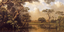 Копия картины "the great florida marsh" художника "хед мартин джонсон"