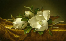 Копия картины "magnolias on gold velvet cloth" художника "хед мартин джонсон"