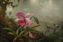 Копия картины "orchids and hummingbirds" художника "хед мартин джонсон"