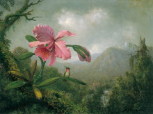 Картина "orchid and hummingbird near a mountain waterfall" художника "хед мартин джонсон"