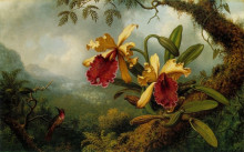 Копия картины "orchids and hummingbird" художника "хед мартин джонсон"
