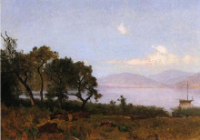 Копия картины "morning, clear lake" художника "хилл томас"
