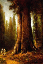 Репродукция картины "california redwood trees" художника "хилл томас"
