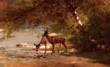 Копия картины "deer in a landscape" художника "хилл томас"