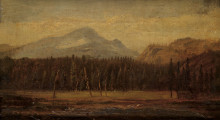 Репродукция картины "landscape with a frontier house" художника "хилл томас"