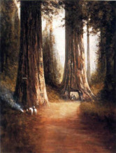 Копия картины "sequoia gigantea" художника "хилл томас"