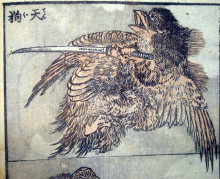 Копия картины "drawing of a tengu" художника "хокусай кацусика"