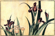 Репродукция картины "irises" художника "хокусай кацусика"