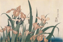 Копия картины "irises and&#160;grasshopper" художника "хокусай кацусика"