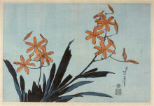 Картина "orange&#160;orchids" художника "хокусай кацусика"