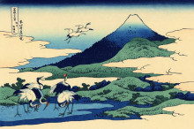 Копия картины "umegawa in sagami province" художника "хокусай кацусика"