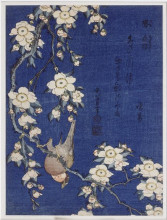 Картина "bullfinch&#160;and&#160;weeping cherry&#160;blossoms" художника "хокусай кацусика"