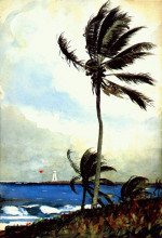 Репродукция картины "palm tree, nassau" художника "хомер уинслоу"