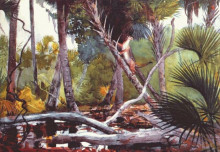Копия картины "in the jungle, florida" художника "хомер уинслоу"