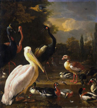 Картина "a pelican and other birds near a pool (the floating feather)" художника "хондекутер мельхиор де"