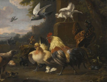Репродукция картины "an eagle, a cockerell, hens, a pigeon in flight and other birds" художника "хондекутер мельхиор де"