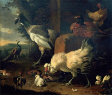 Копия картины "domestic fowl with a pheasant and peacocks" художника "хондекутер мельхиор де"