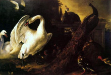 Копия картины "swans and peacocks" художника "хондекутер мельхиор де"