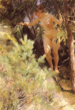 Репродукция картины "nude under a fir" художника "цорн андерс"
