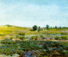 Репродукция картины "shinnecock hills, summer" художника "чейз уильям меррит"