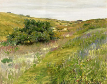 Репродукция картины "landscape, shinnecock hills" художника "чейз уильям меррит"