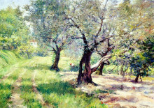 Репродукция картины "the olive grove" художника "чейз уильям меррит"