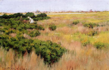 Репродукция картины "landscape near coney island" художника "чейз уильям меррит"