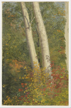 Копия картины "birch trees in autumn" художника "чёрч фредерик эдвин"