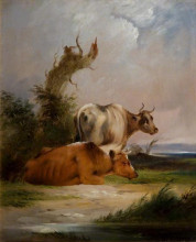 Репродукция картины "cows, white cow standing" художника "шайер уильям"