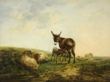 Копия картины "donkey and sheep" художника "шайер уильям"