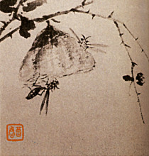 Репродукция картины "studies of insects, wasps" художника "шитао"