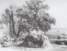 Копия картины "дуб на берегу финского залива" художника "шишкин иван"