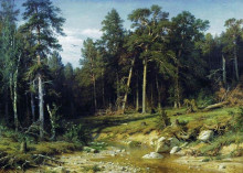 Репродукция картины "сосновый бор. мачтовый лес в вятской губернии" художника "шишкин иван"