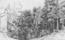 Копия картины "лиственный лес" художника "шишкин иван"