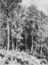 Репродукция картины "деревья. козловка-засека" художника "шишкин иван"