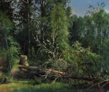 Репродукция картины "срубленное дерево" художника "шишкин иван"