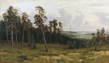 Репродукция картины "богатый лог (пихтовый лес на реке каме)" художника "шишкин иван"