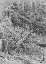 Репродукция картины "в лесу. упавшее дерево" художника "шишкин иван"