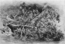 Репродукция картины "упавшее дерево. сиверская" художника "шишкин иван"