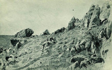 Копия картины "скалы на берегу моря. гурзуф" художника "шишкин иван"
