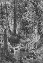 Репродукция картины "лесной ручей (чернолесье)" художника "шишкин иван"