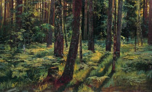 Картина "папоротники в лесу. сиверская" художника "шишкин иван"