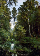Репродукция картины "заросший пруд у опушки леса. сиверская" художника "шишкин иван"