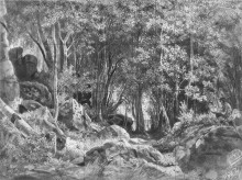 Репродукция картины "валаам. лес на камнях" художника "шишкин иван"