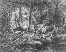 Копия картины "трущоба (вид на острове валааме)" художника "шишкин иван"