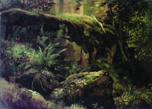 Копия картины "камни в лесу. валаам" художника "шишкин иван"