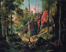 Репродукция картины "вид на острове валааме (местность кукко)" художника "шишкин иван"