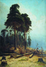 Копия картины "сосновый лес" художника "шишкин иван"