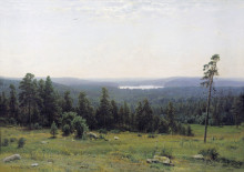 Репродукция картины "лесные горизонты" художника "шишкин иван"