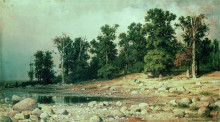 Копия картины "побережье дубовой рощи петра великого в сестрорецке" художника "шишкин иван"